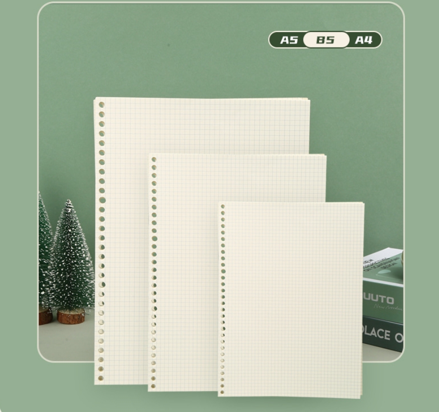 Notebook Dotted A5 - A5 B5 Siatka liniowa 20 otworów