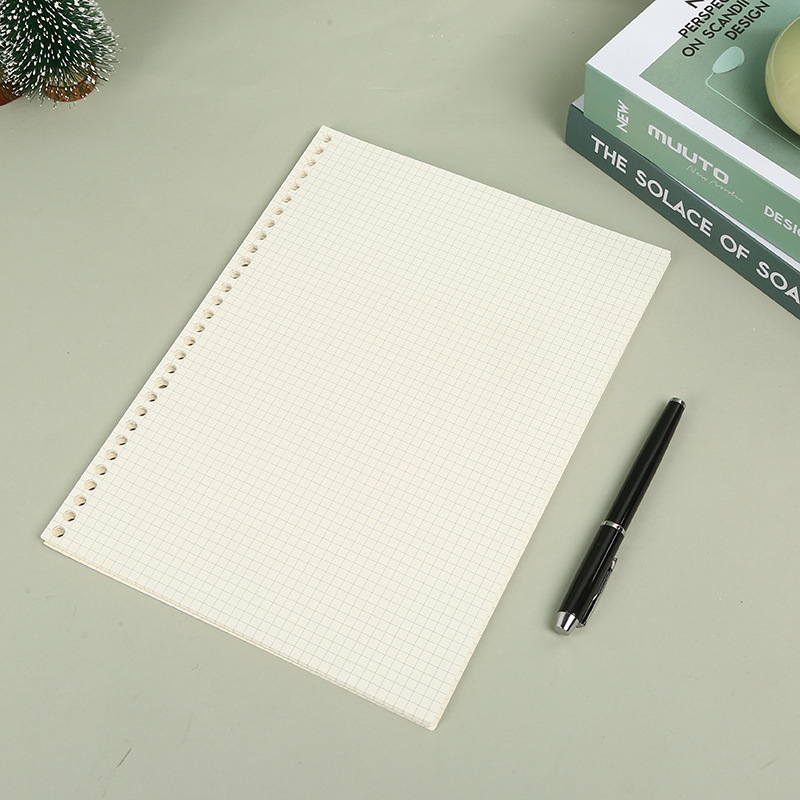 A5 B5 Siatka liniowa 20 otworó – Notebook Dotted A5 recenzja i cena
